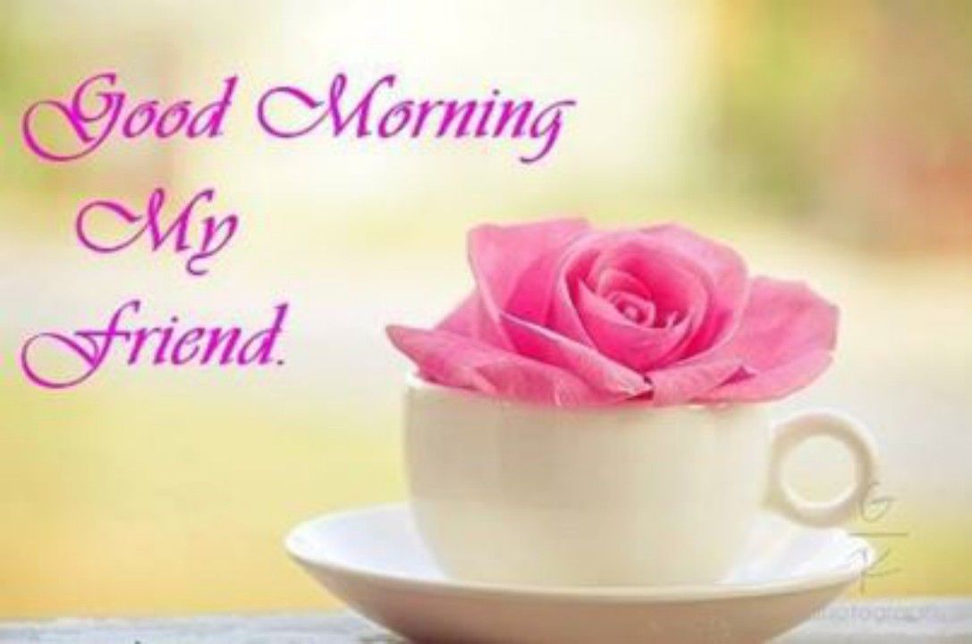 Good Morning Friends Wallpaper For You Can Get Gorgeous