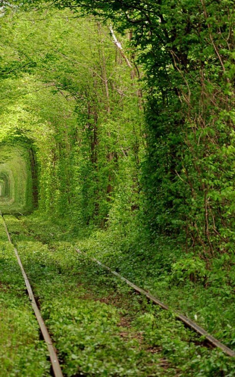 Nature Love Tunnels Ukraine Wallpaper