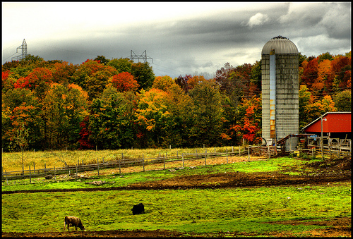 Farm Autumn Scene Desktop Wallpaper Pictures