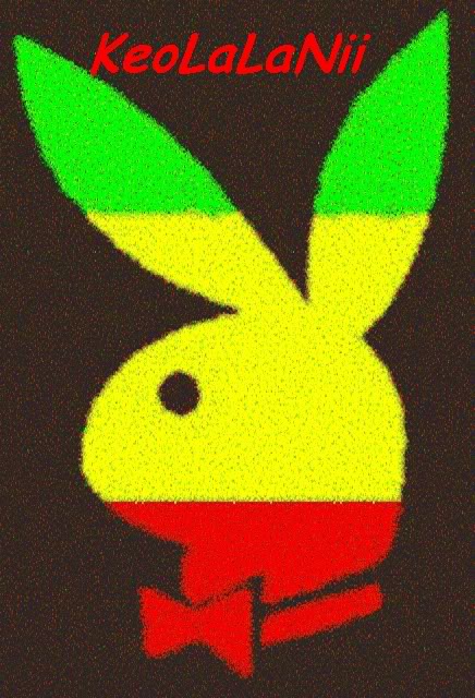  desktops play boy bunny wallpaper play boy bunny wallpaper   Ecro
