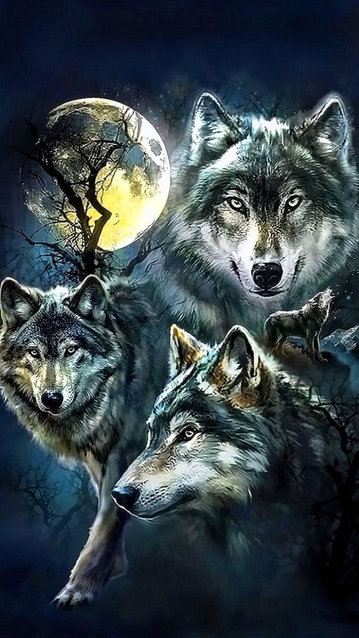 Animated Wolf Wallpaper For iPhone Pro