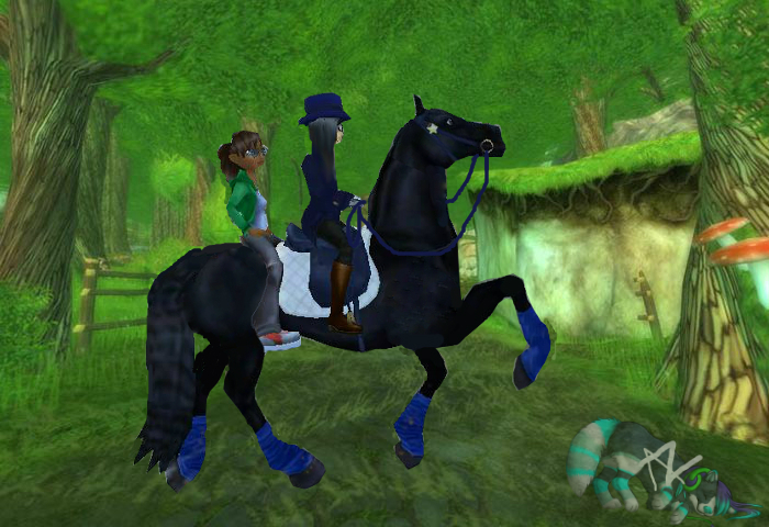 Star Stable Online My First Edit By Nocy0720