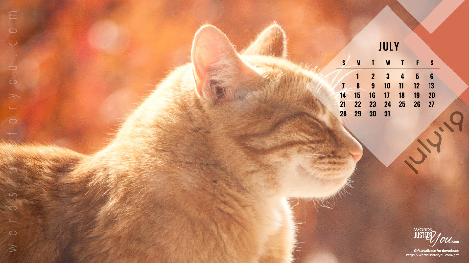 Pets July HD Calendar Desktop Wallpaper Words