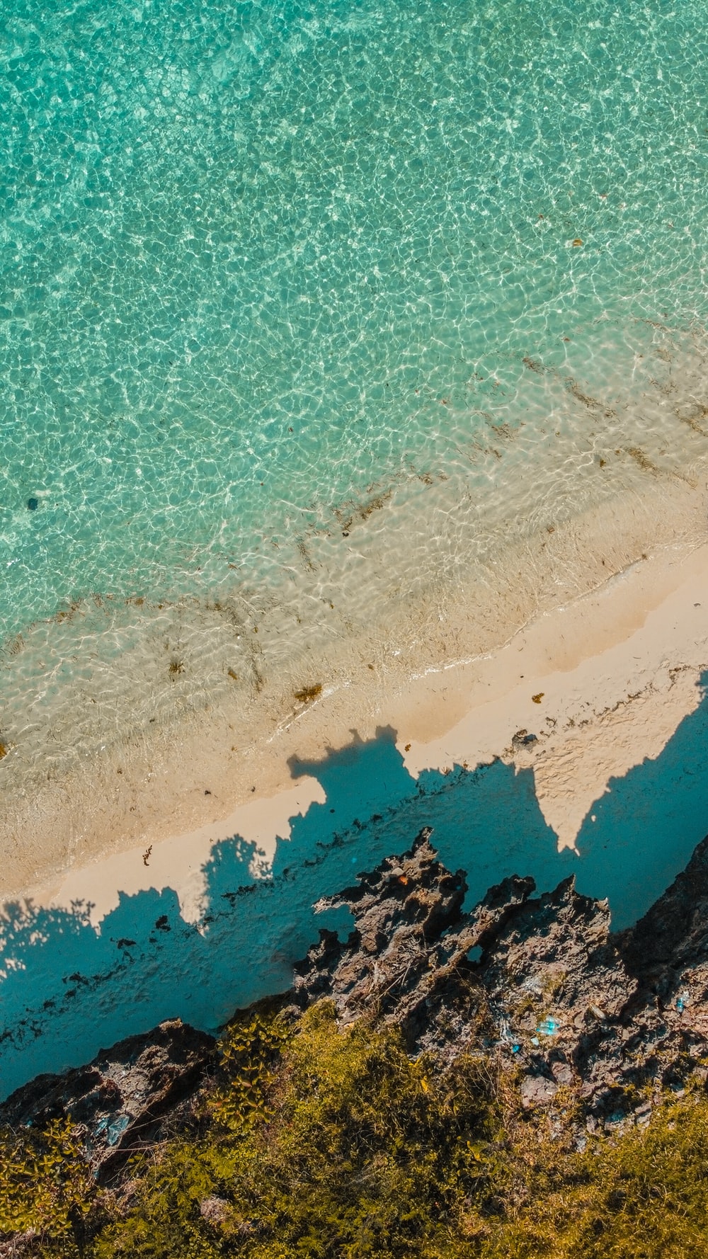 aerial view of beach during daytime photo Outdoors Image on 1000x1778