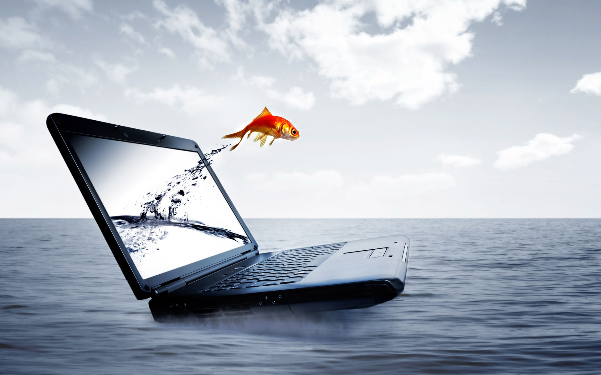 Laptop And Fish Wallpaper Image Pictures Photos