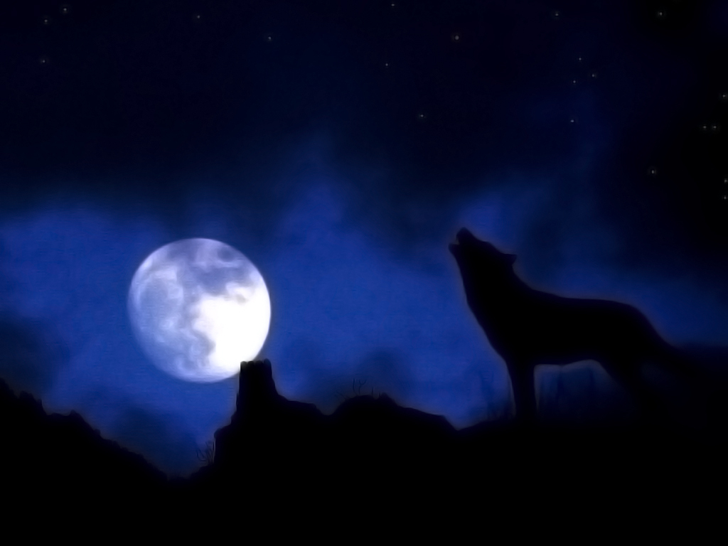 Wolf Moon Wallpaper 11128 Hd Wallpapers in Animals   Imagescicom