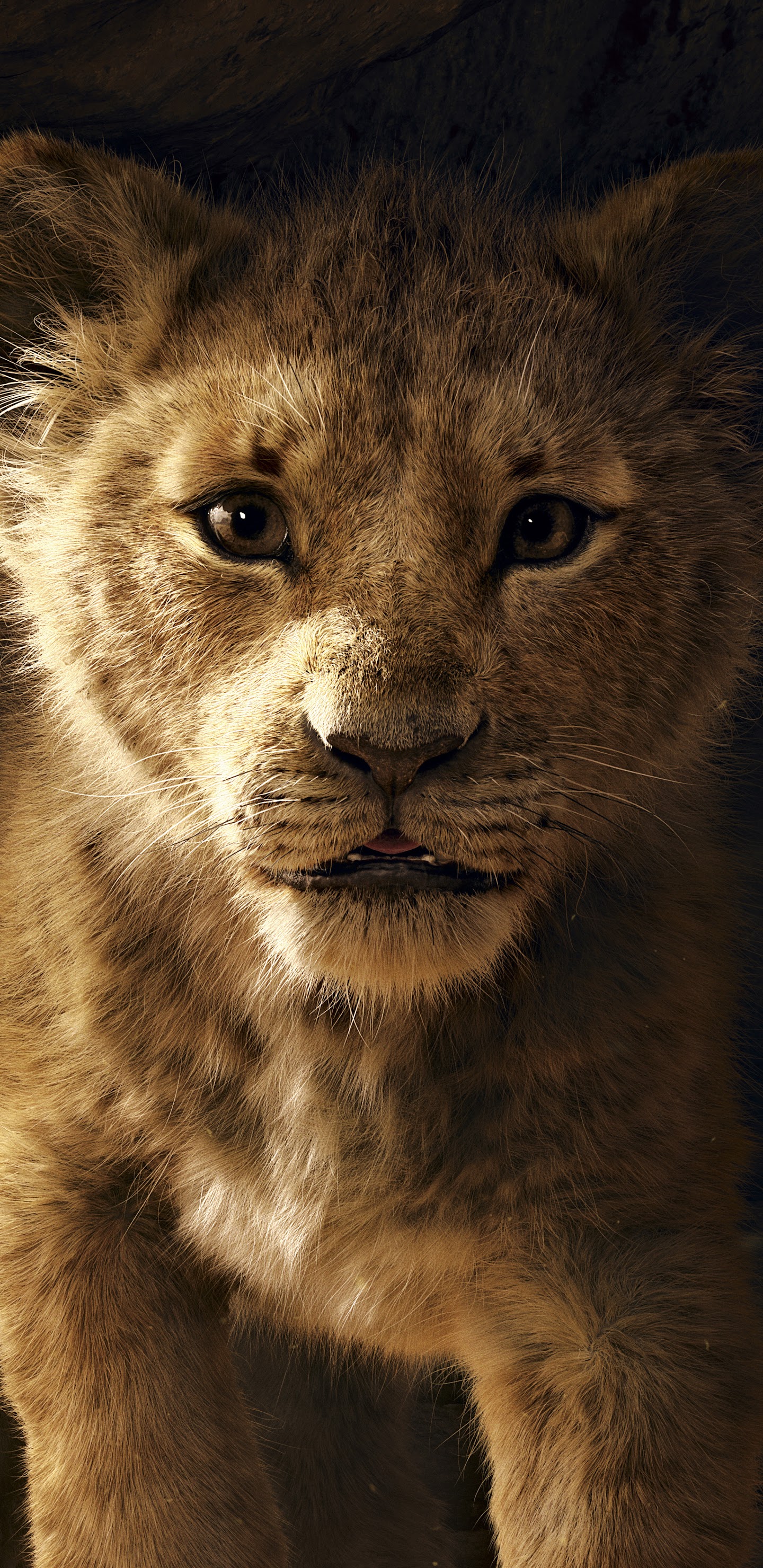 The Lion King Simba 8k Wallpaper
