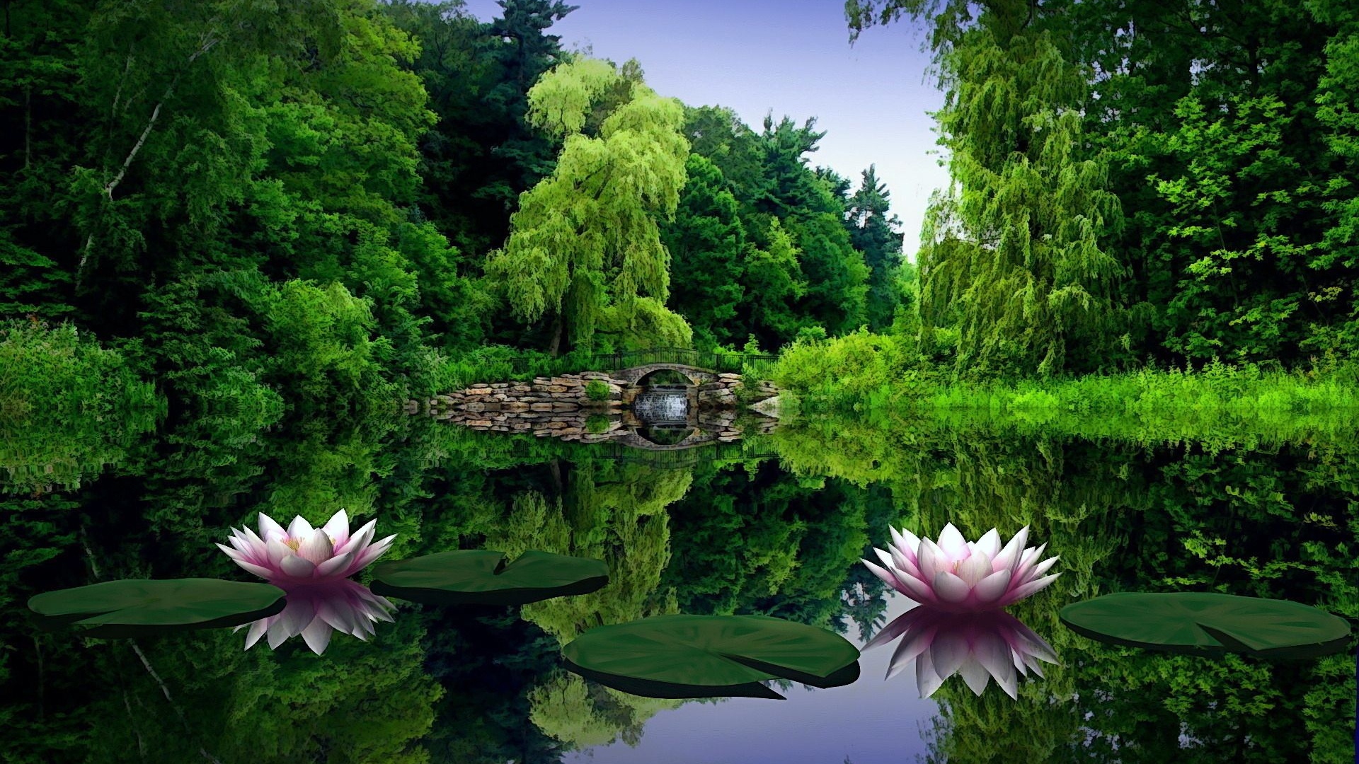 Serene Nature Wallpaper: Tranquil Pond with Water Lilies and a Stone Bridge