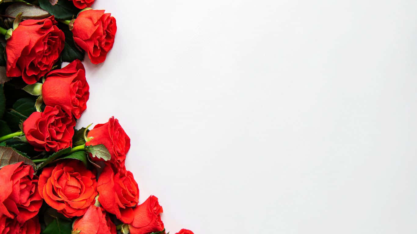 A Bouquet Of Beautiful Roses Wallpaper