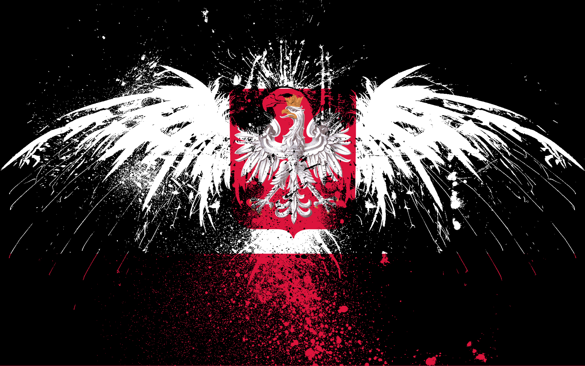 Best Polish Wallpaper Eagle