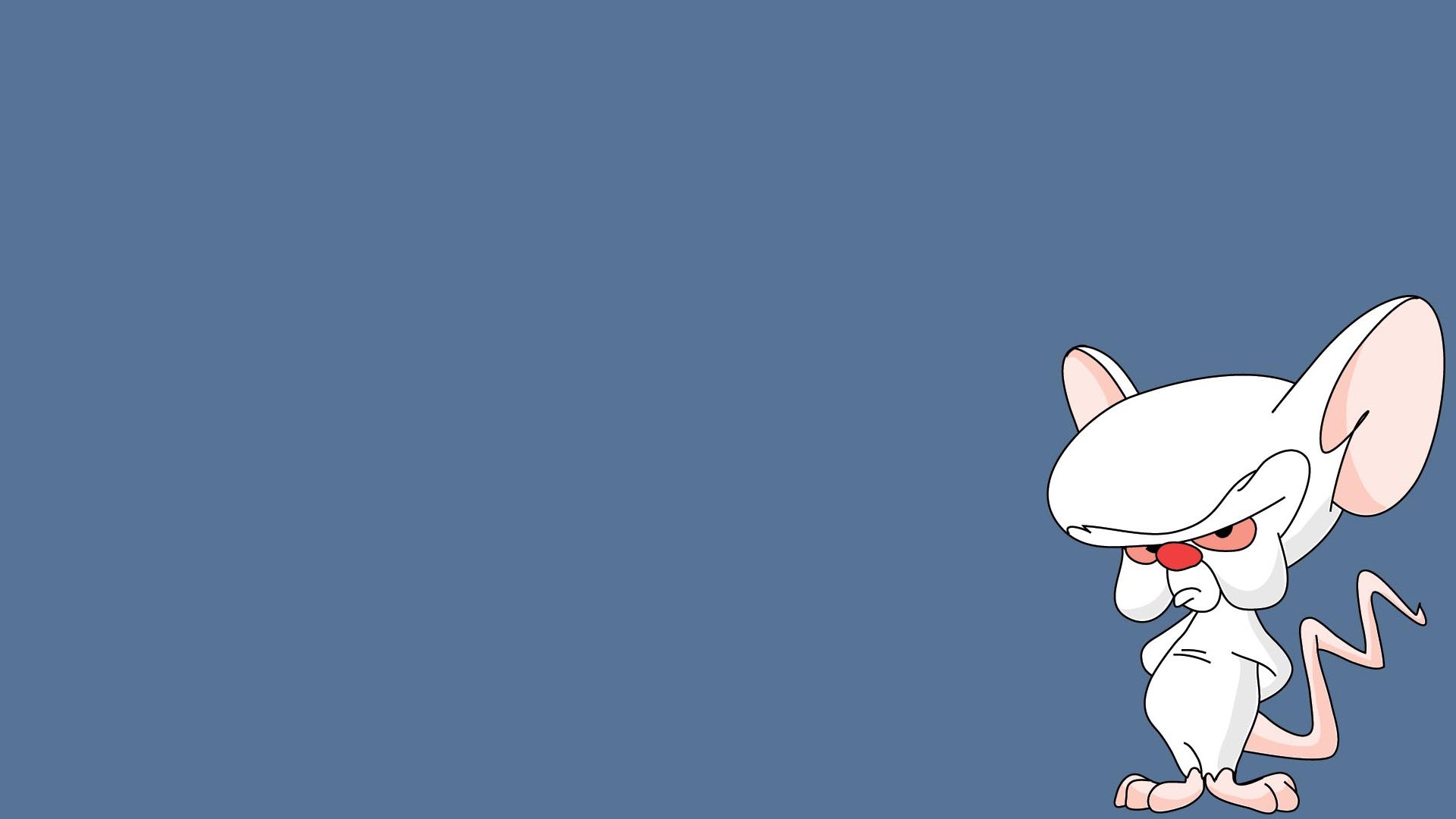 Pinky And The Brain Computer Wallpapers Desktop Backgrounds