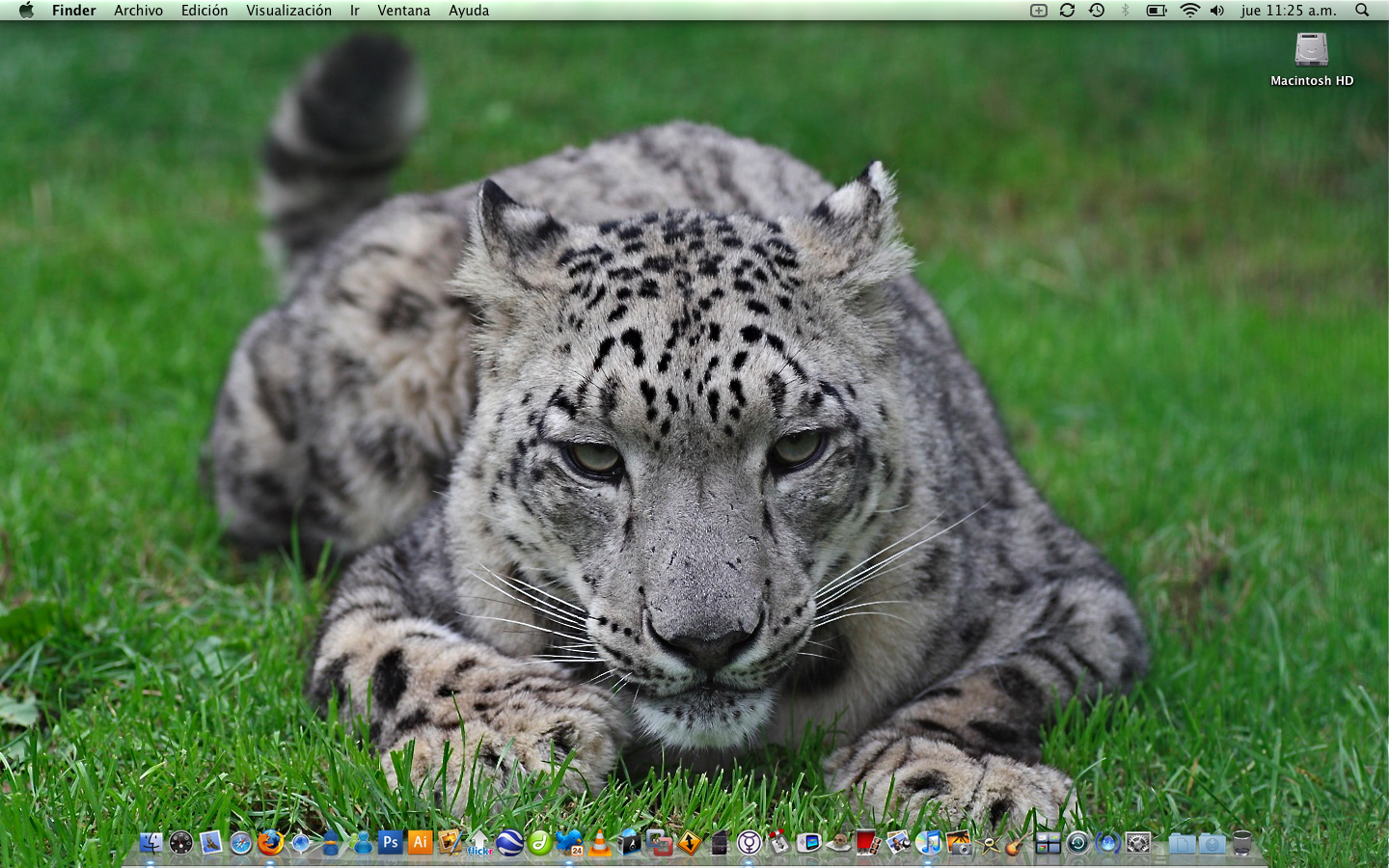 Quot Snow Leopard Desktop Photo Sharing