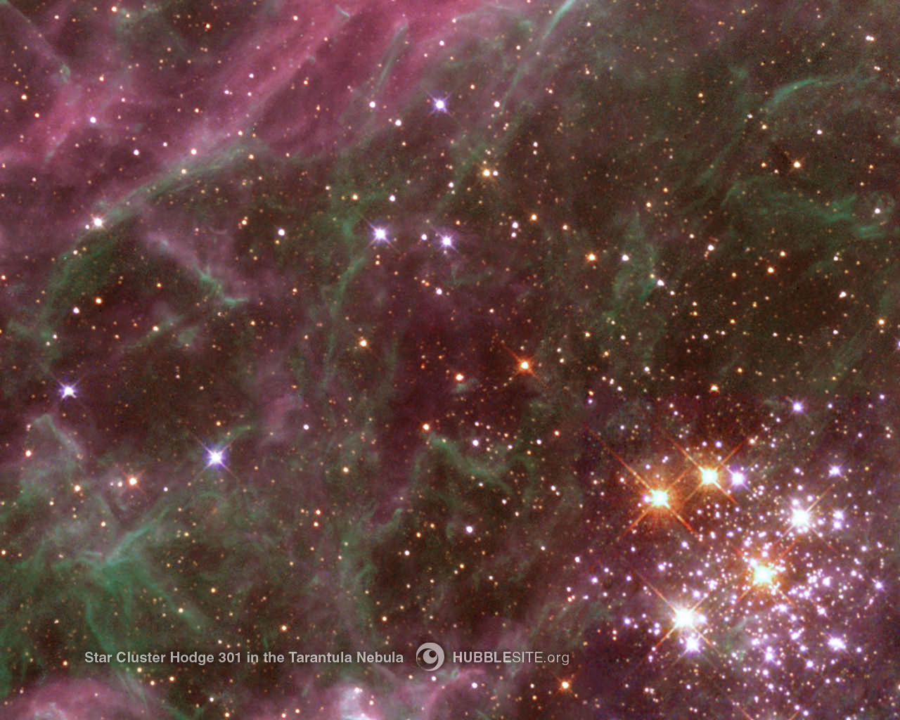 Desktop Wallpaper For Star Cluster Hodge In The Tarantula Nebula