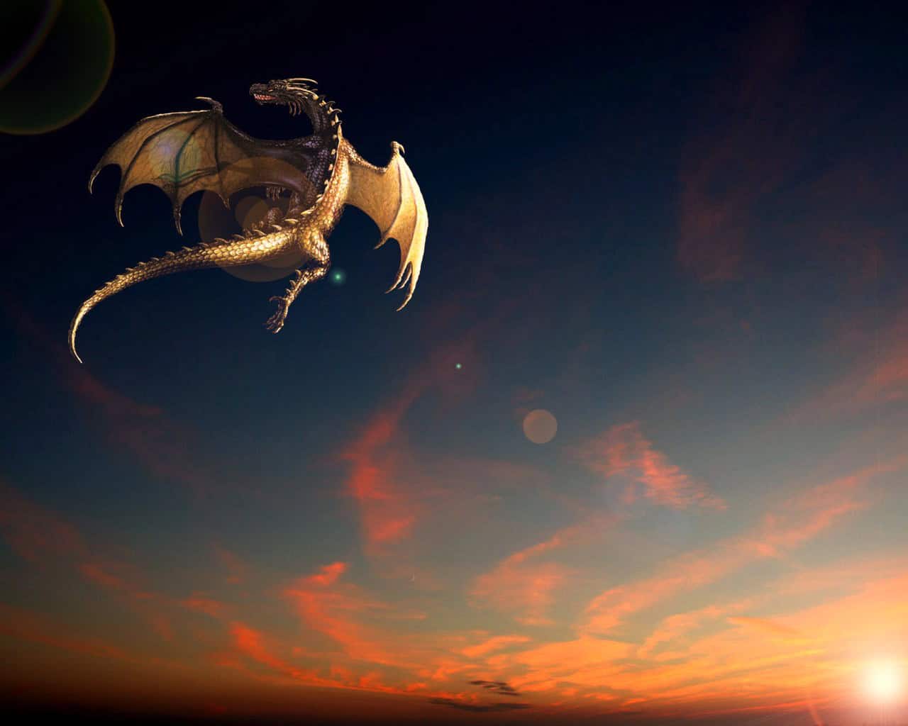 Cool Dragon HD Wallpaper