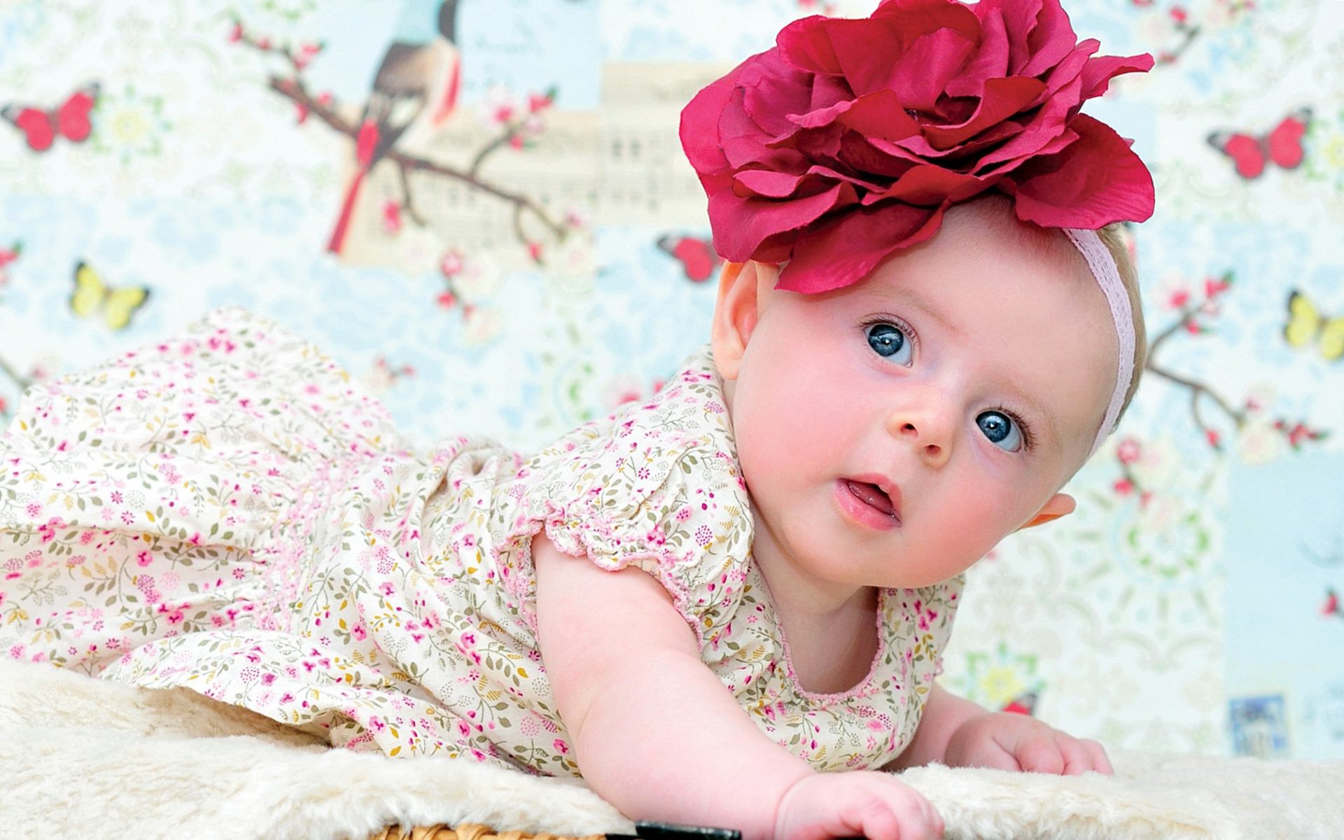 Image Of A Newborn Baby Girl HD Wallpaper