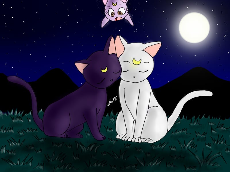 Free Download Sailor Moon Luna And Artemis Wallpaper Luna And Artemis By Alfa995 800x600 For Your Desktop Mobile Tablet Explore 48 Sailor Moon Luna Wallpaper Sailor Moon Luna Wallpaper