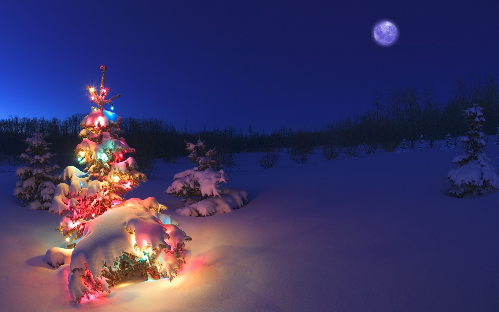 Free Download Christmas Tree Light In Snow Hd Wallpaper Stylish Hd Wallpapers 19x10 For Your Desktop Mobile Tablet Explore 71 Snowy Christmas Backgrounds Snowy Christmas Wallpaper Computer Desktop Wallpaper