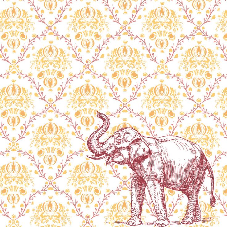 Elephant Background Wallpaper