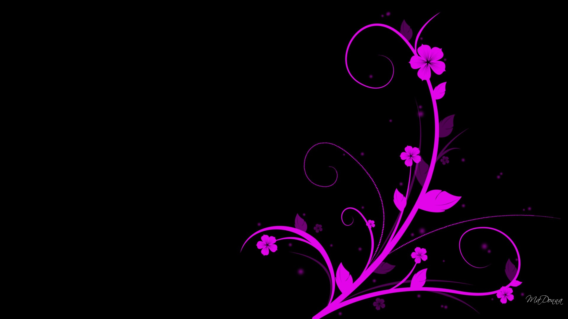 Pink And Black Wallpaper Designs 2 Desktop Background