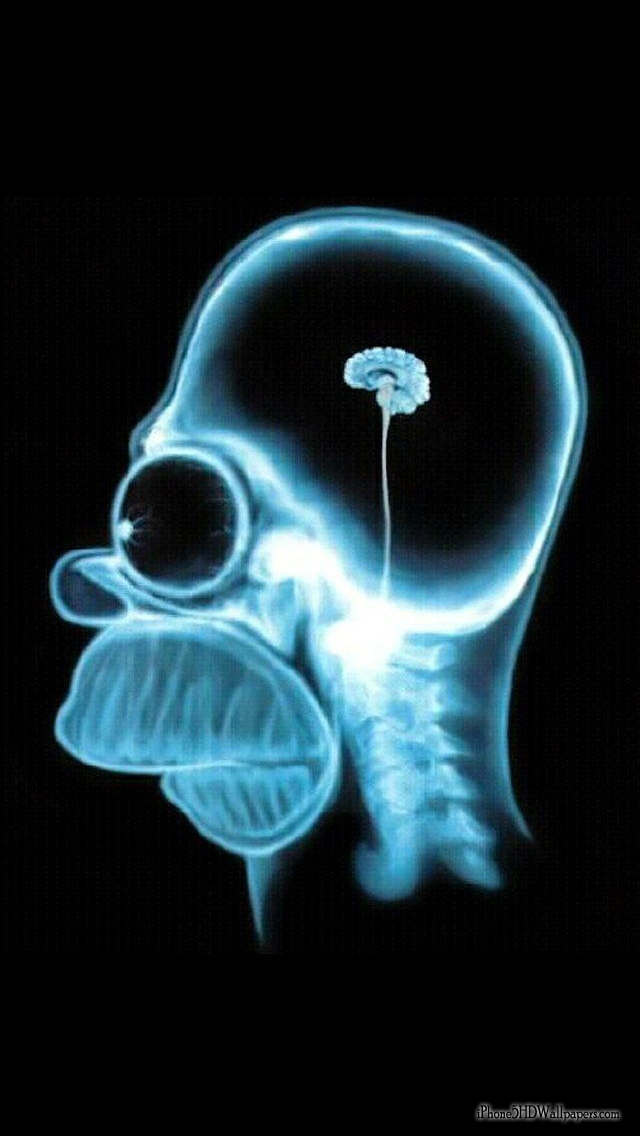 iPhone Wallpaper Homer Brain HD
