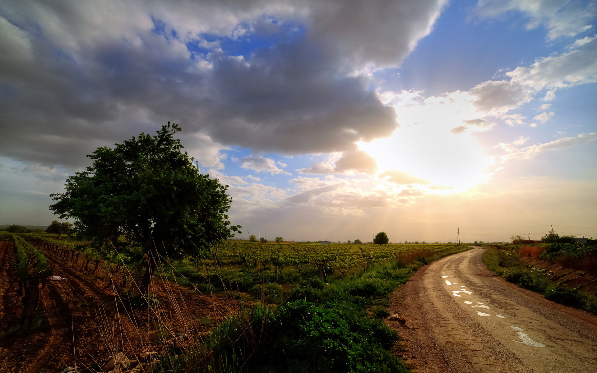High Definition Wallpaper Of Road Field Landscape For