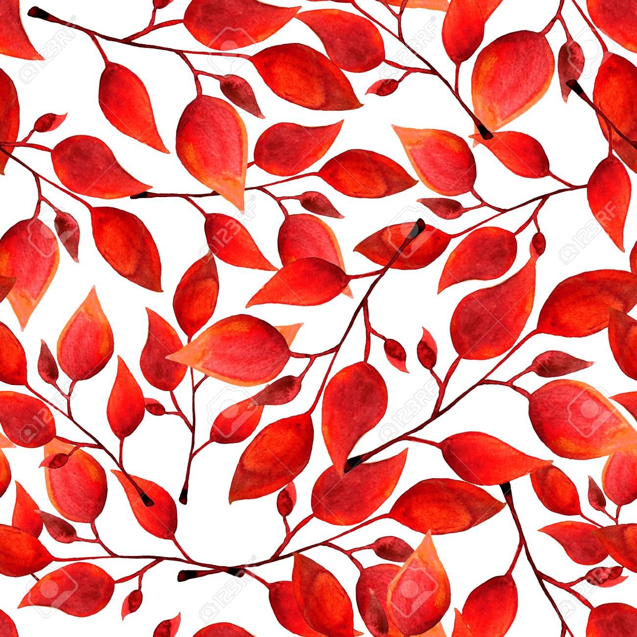 Seamless Watercolor Pattern With Red Leafs On White Background