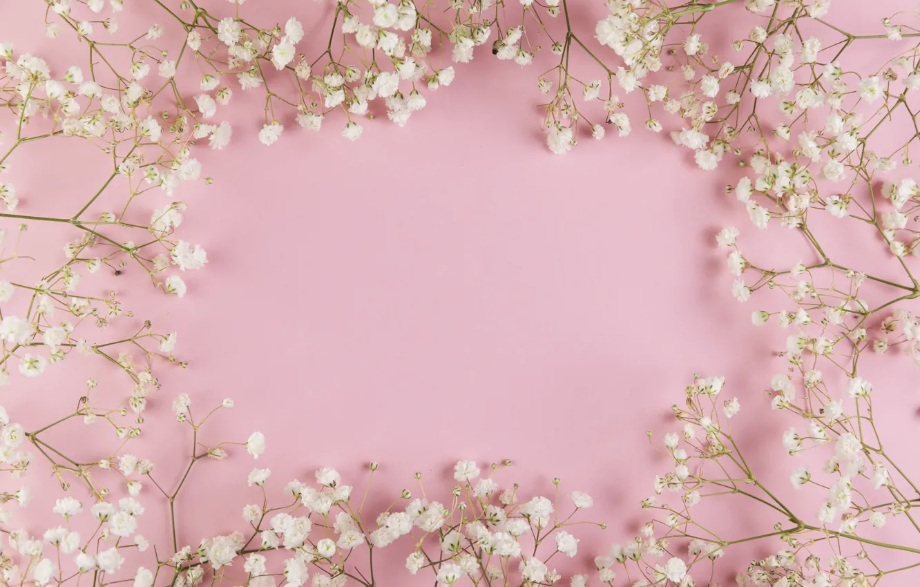 Wallpaper Flowers White Pink Tender Frame