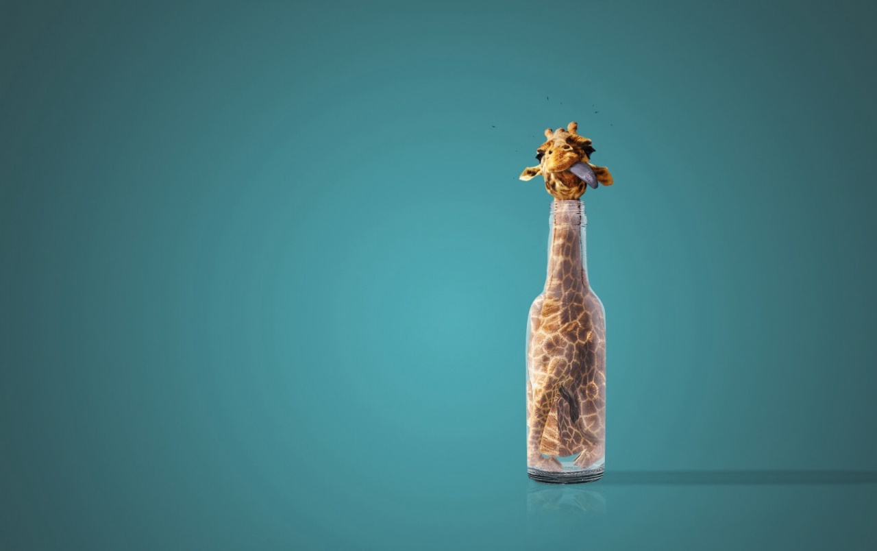 Giraffe In A Bottle Wallpaper Stock Photos