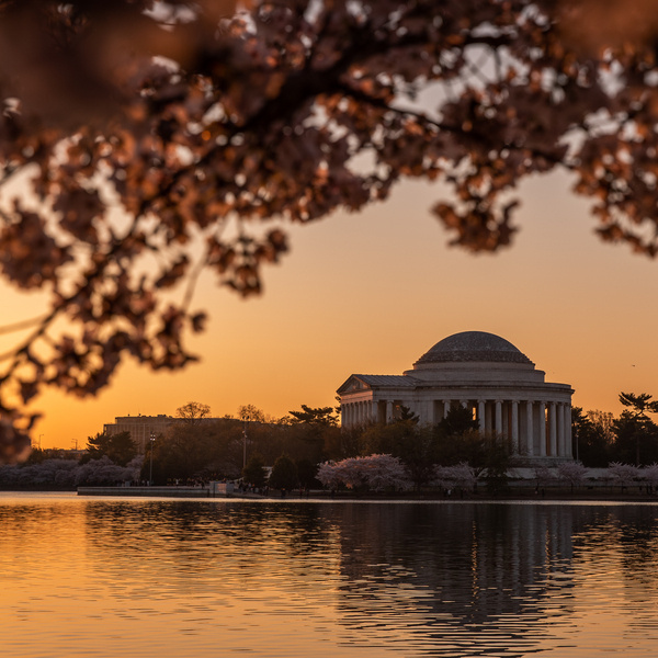 The George Washington University Wallpaper