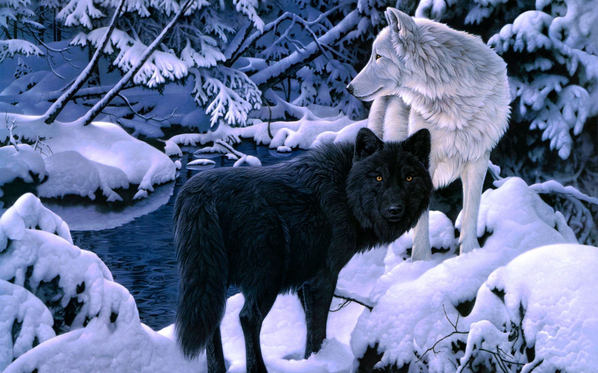 Wolf Wallpaper Collection For