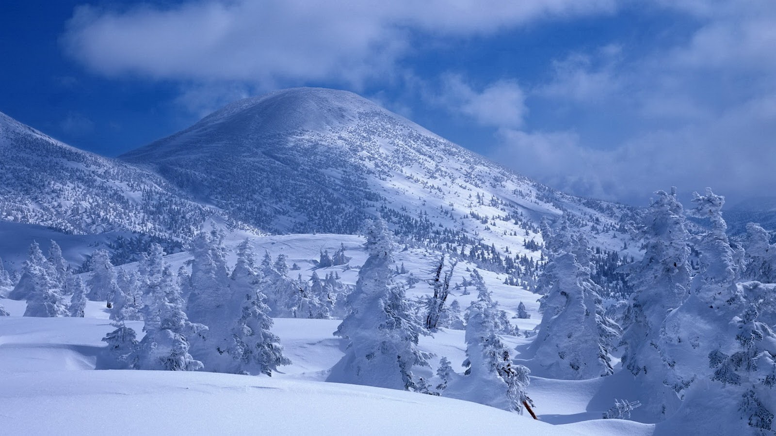 wallpaper proslut Snowy Ice Mountains Widescreen HD Wallpapers Laptop