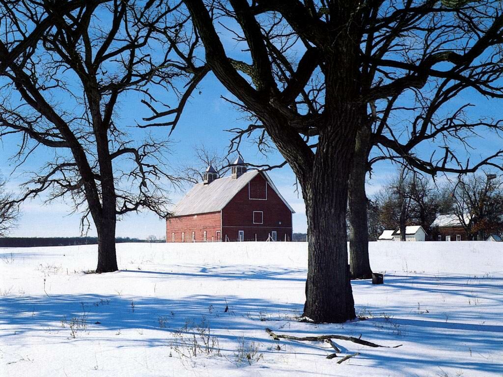 Minnesota Snow Barn Farms Buildings And Landmarks Wallpaper Image