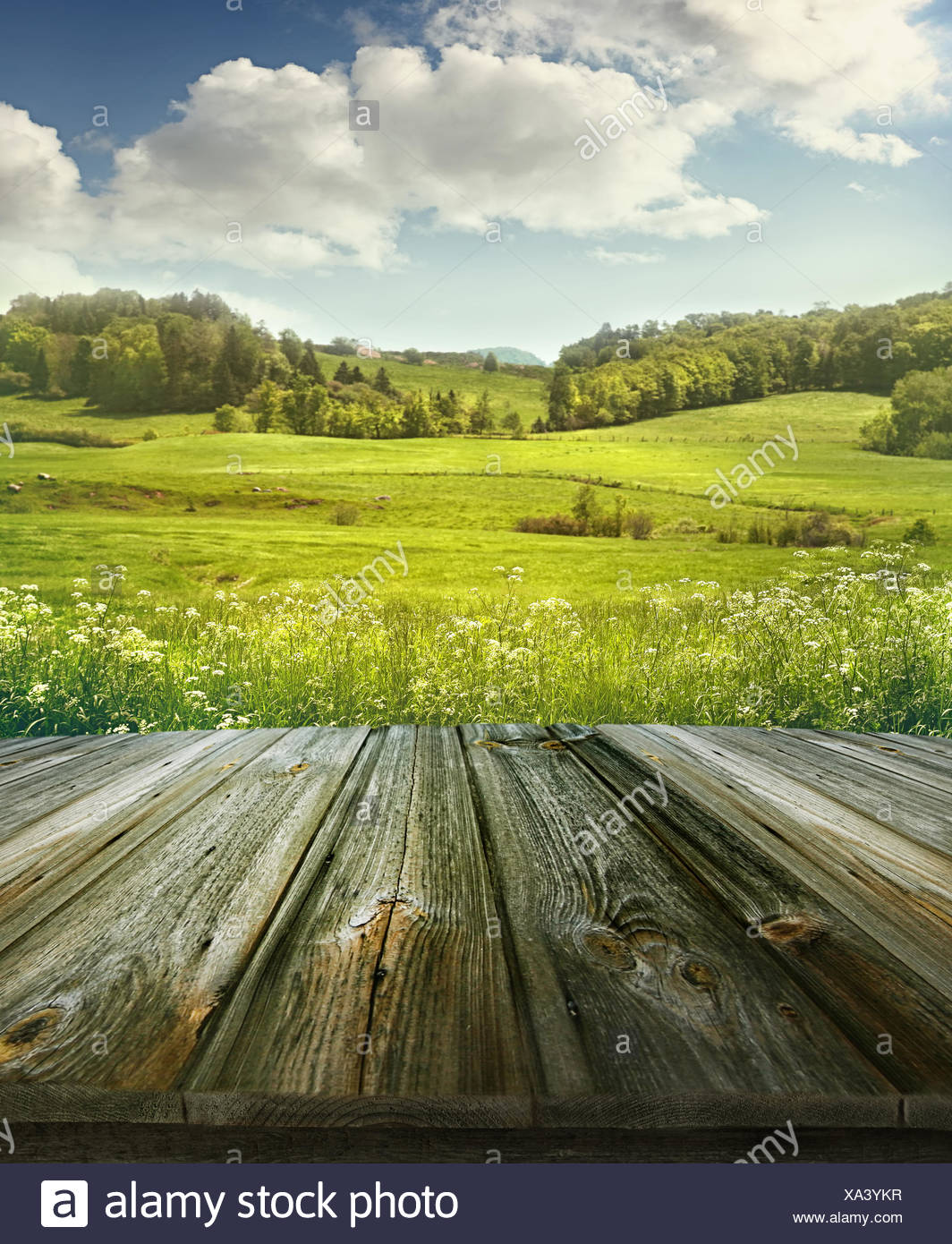 Summer Pastoral Background With Wooden Planks Stock Photo