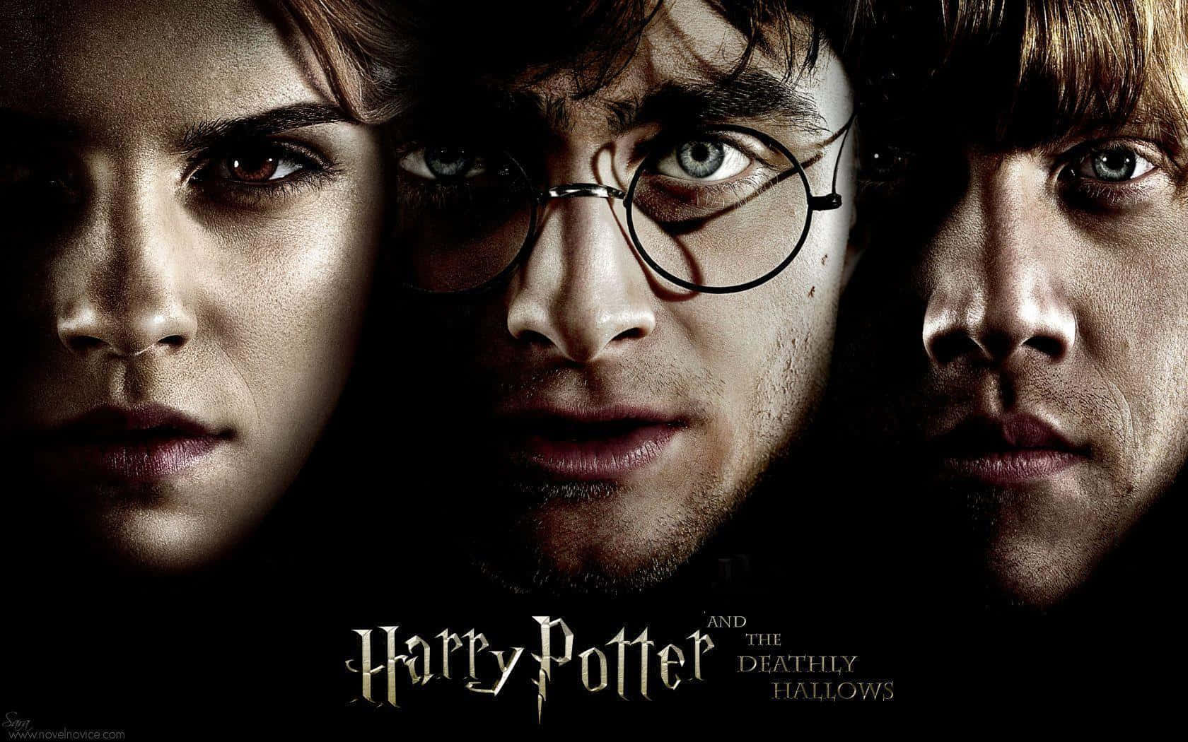 Harry Potter All Characters Wallpaper