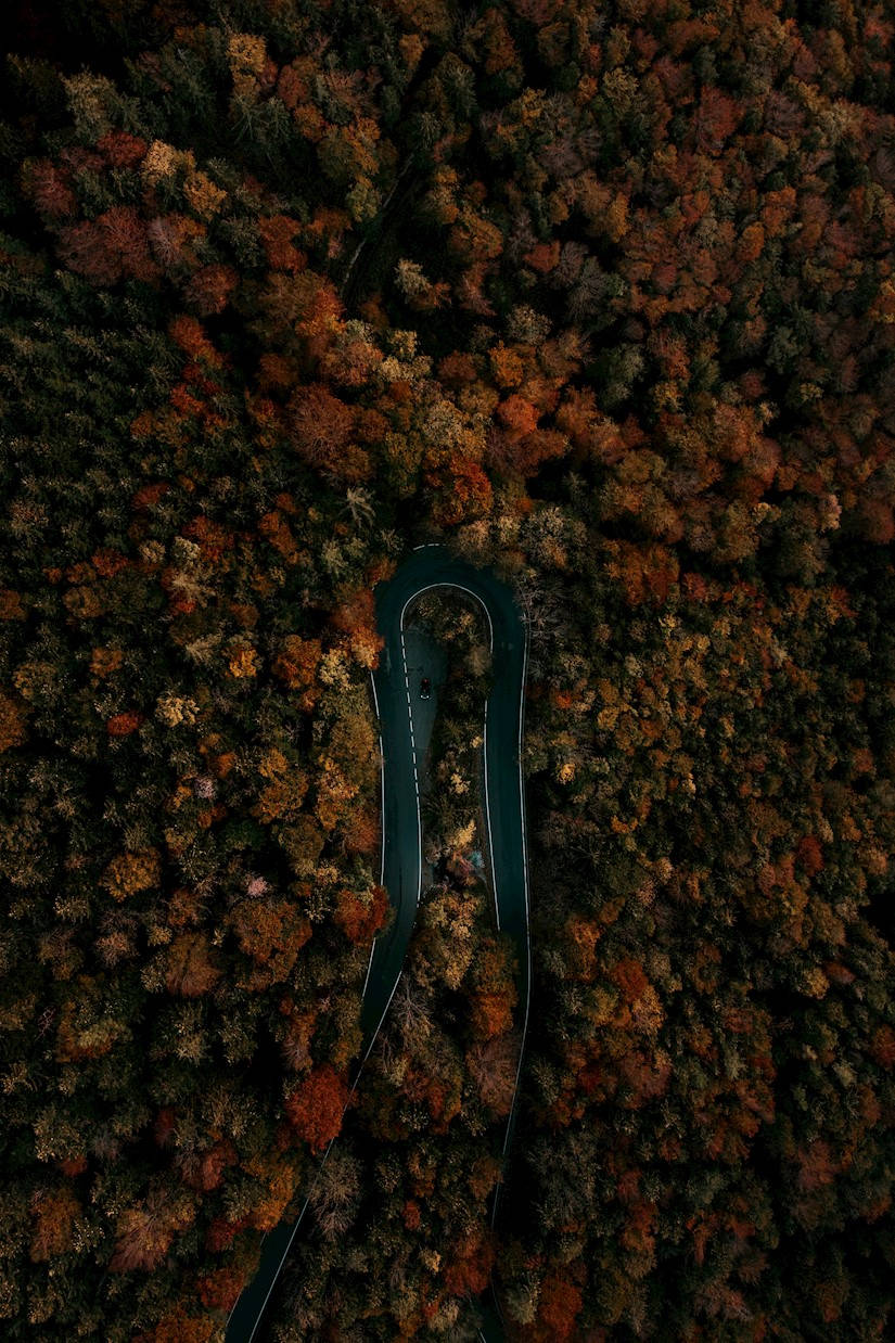 Top Dark Brown Aesthetic Wallpaper Full HD 4k To Use