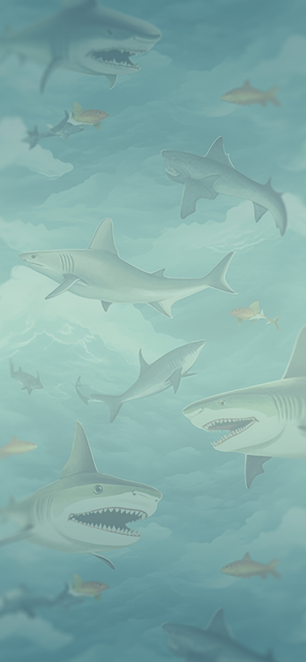 Sharks Pattern In The Sky Wallpaper