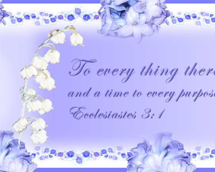 🔥 Free download Everything in Season [720x576] for your Desktop, Mobile