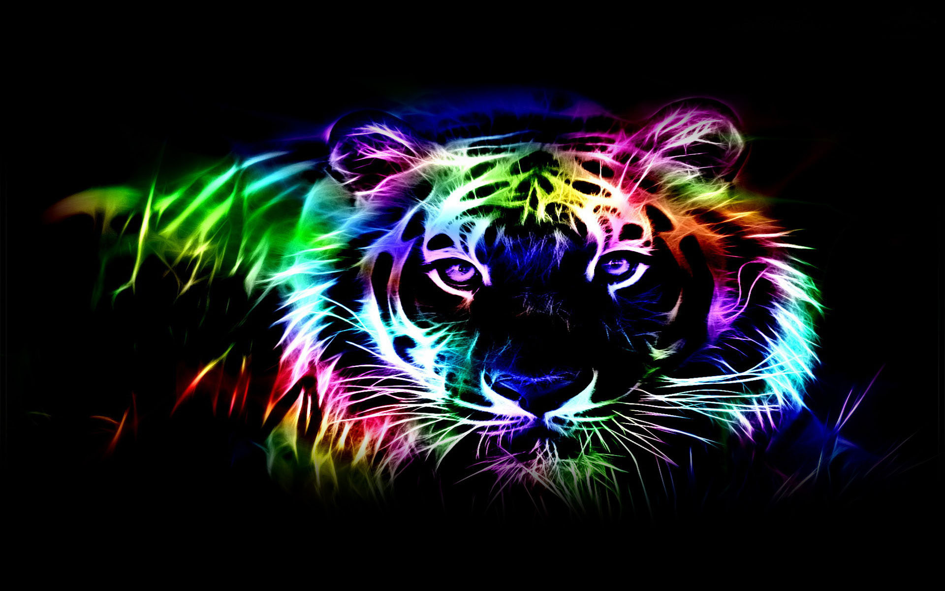 Colorful Tiger HD Wallpaper