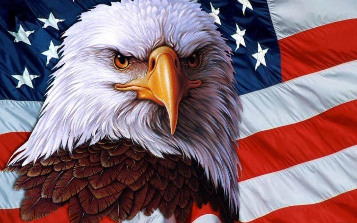 How The American Bald Eagle Became Nation S Emblem Flag