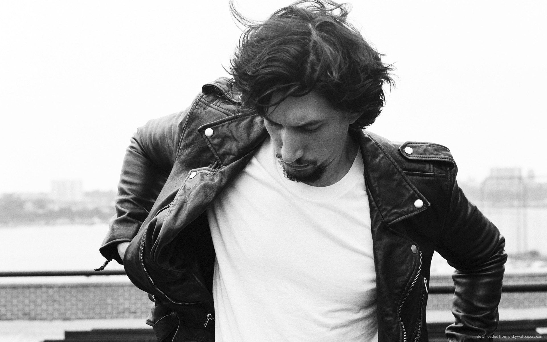 Adam Driver Wallpaper Image Photos Pictures Background