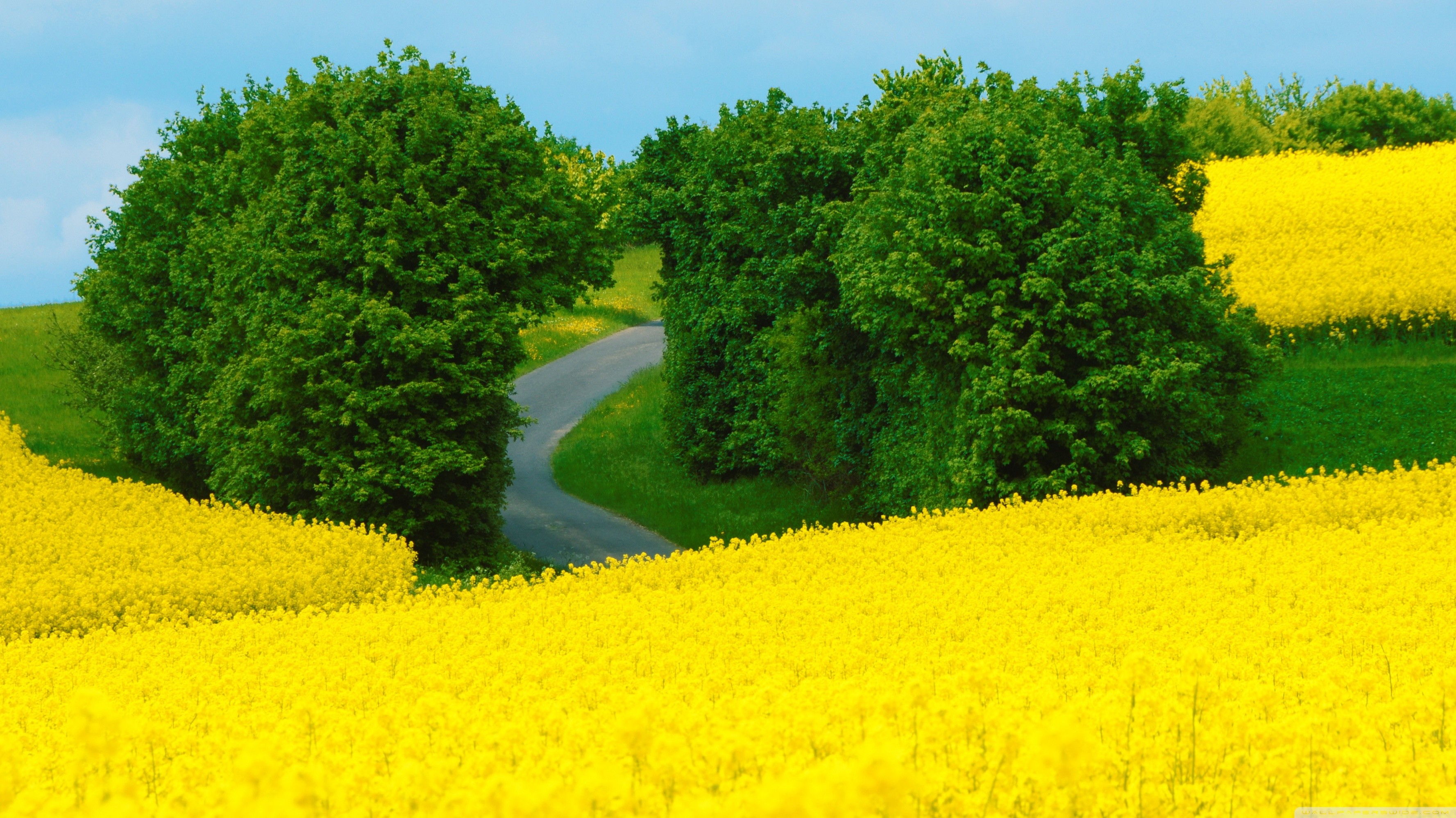 Beautiful Spring Wallpaper