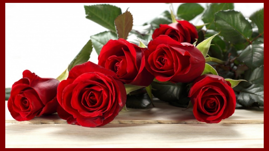 Valentine Rose HD Desktop Wallpaper Happy