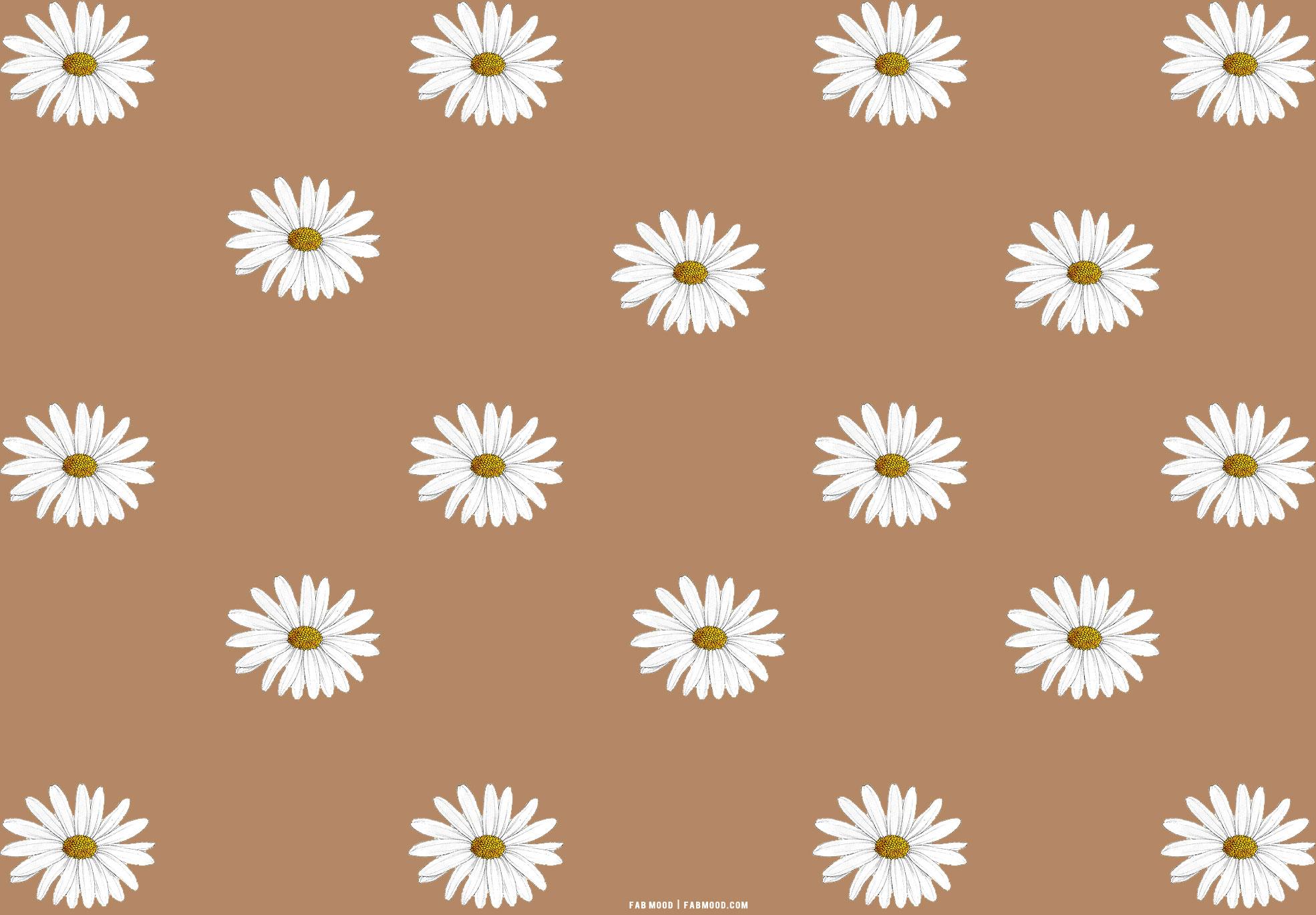 25 Brown Aesthetic Wallpaper for Laptop Daisy Daisy 1   Fab Mood