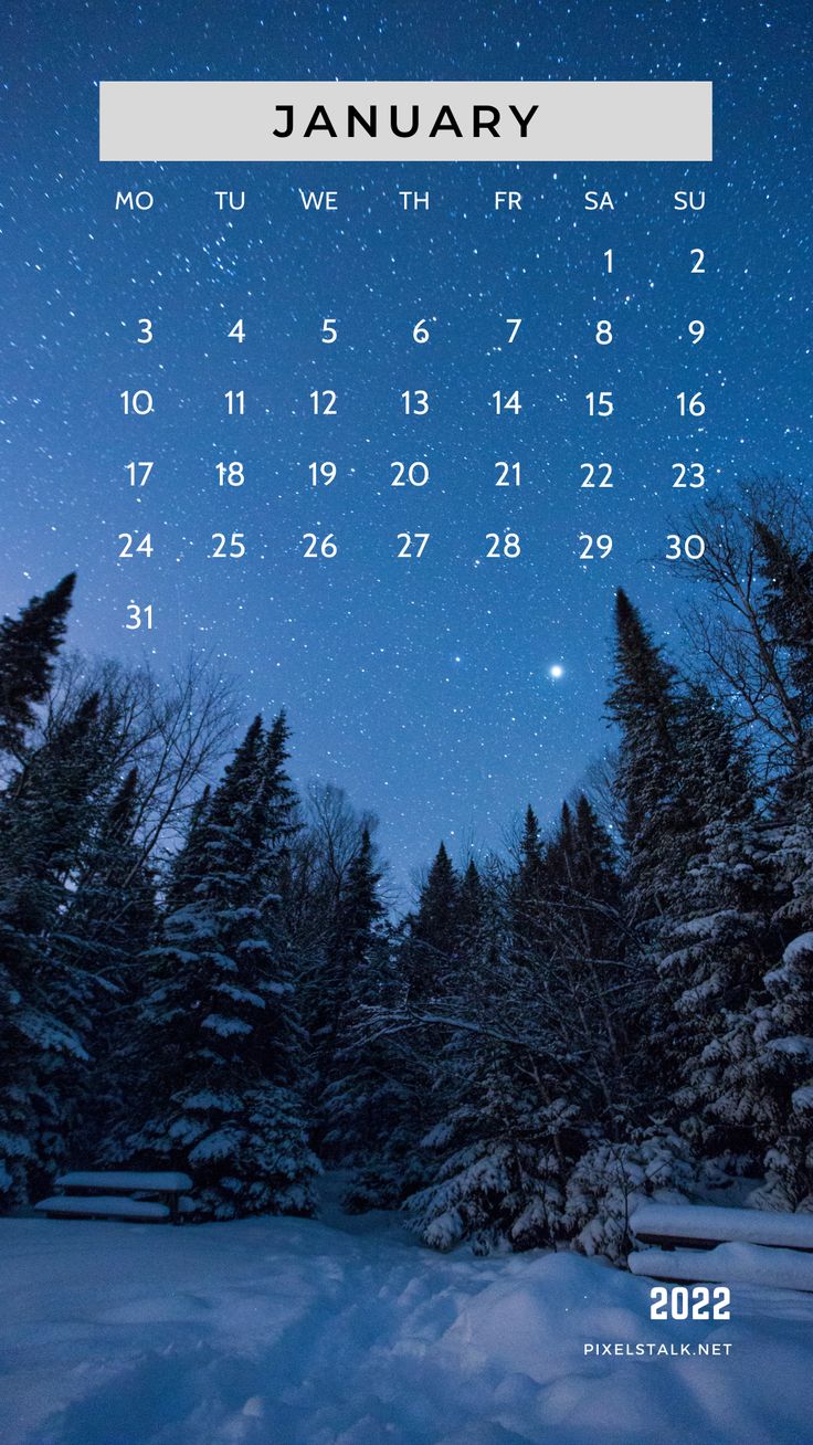 January Calendar iPhone Background