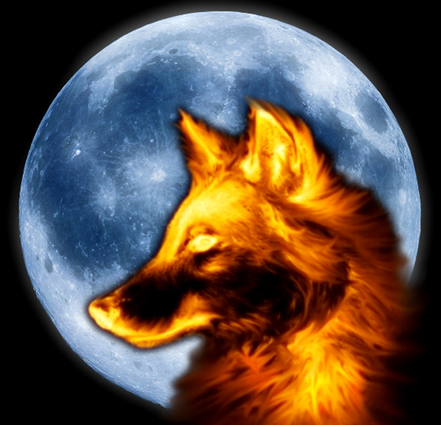 Fire Wolf With Blue Moon By Ollylove