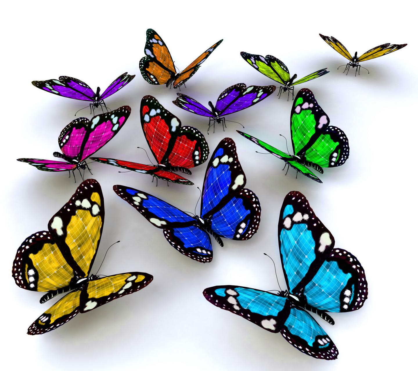 Colorful Butterflies Hq Wallpaper