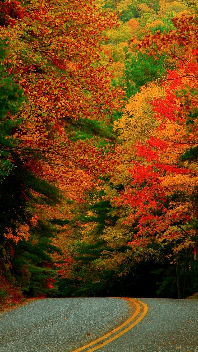 Start Of Autumn iPhone Wallpaper