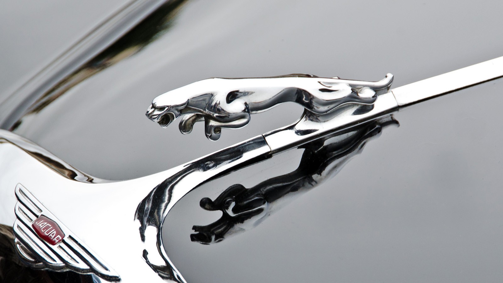 Jaguar Logo Wallpaper Baltana