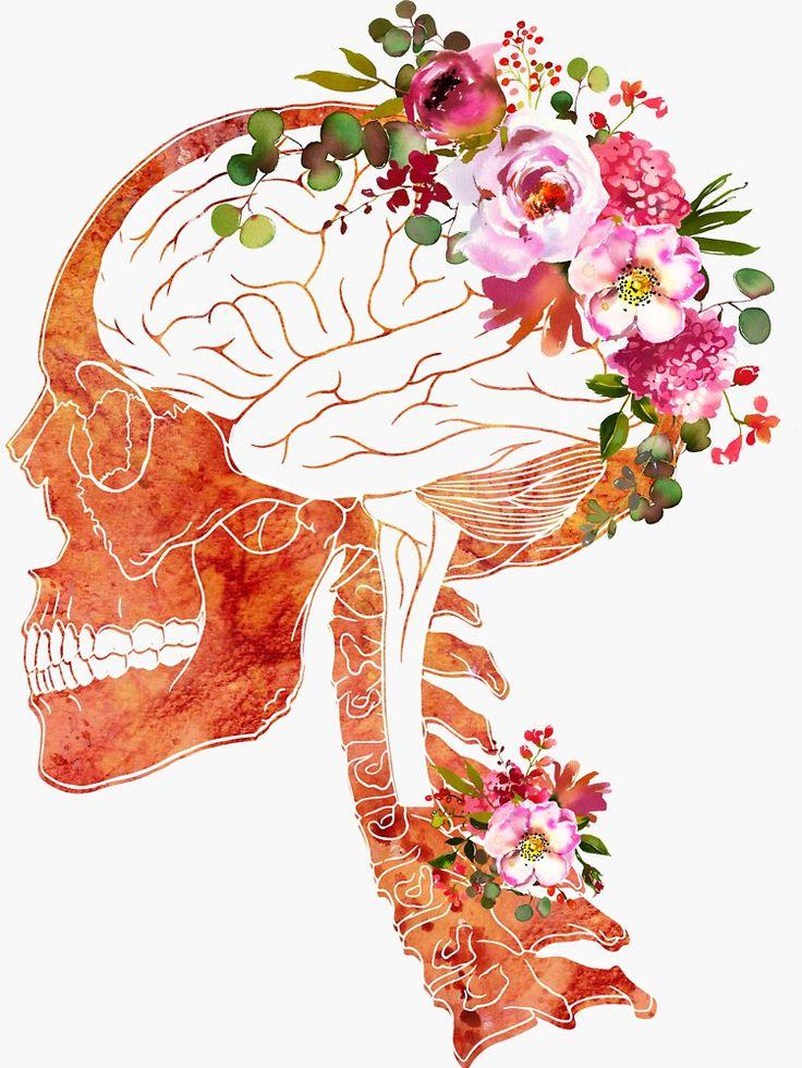 Skull And Brain Sticker By Erzebetth Human Anatomy Art