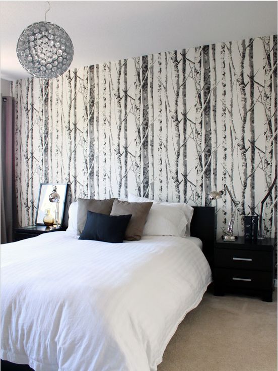 EH61008   Contemporary Black and White Birch Tree Wallpaper from Eco 552x736